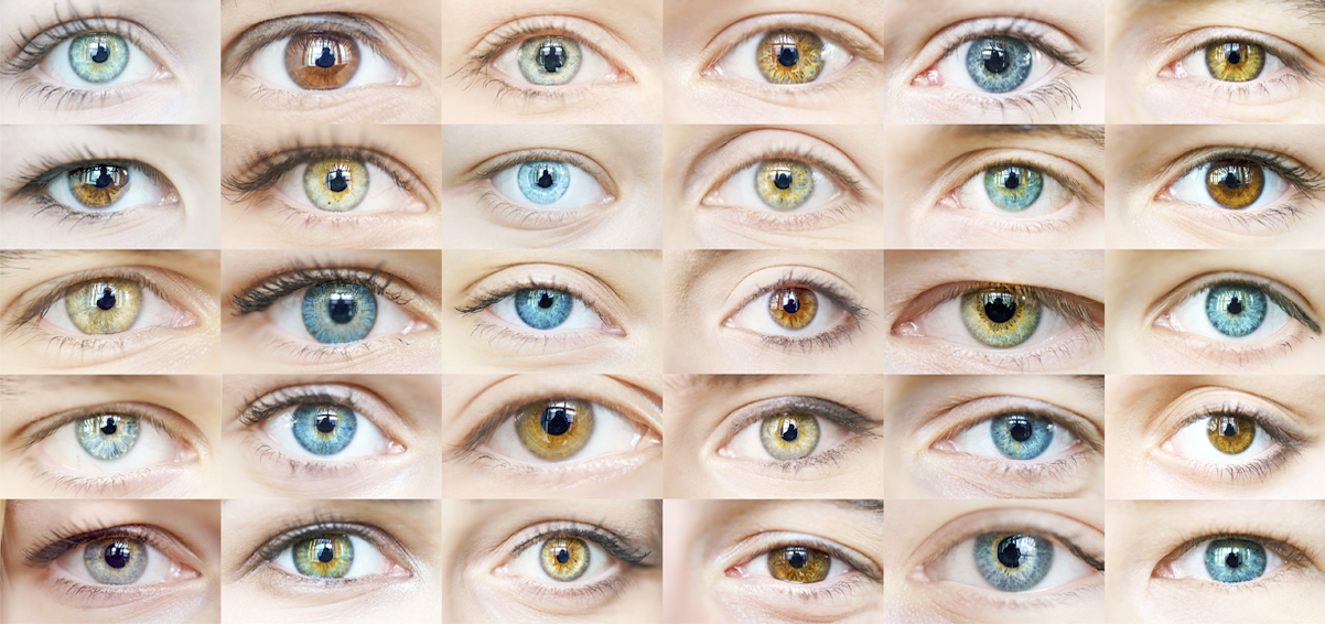 A photo collage of different human eyes of various colors